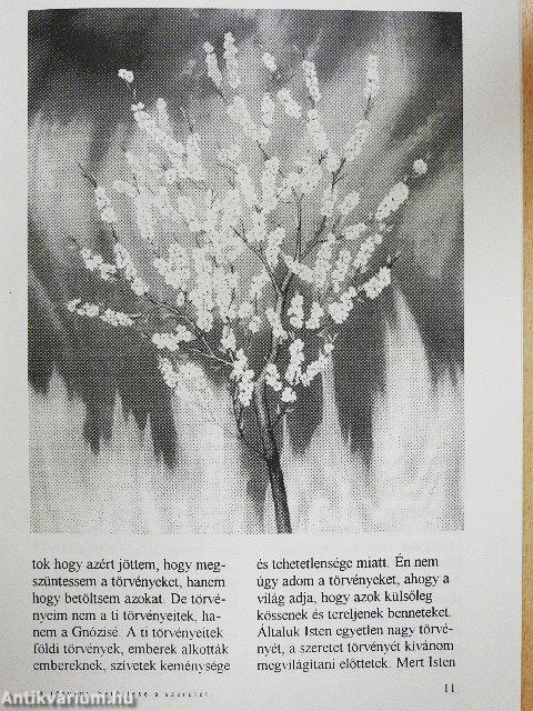Pentagram 1995. november-december