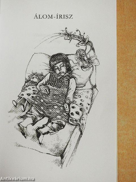 Hol nem volt bújócska