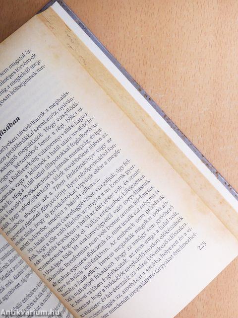 Mitől beteg a világ?