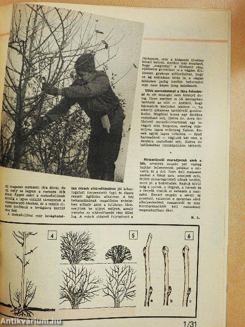 Ezermester 1985. január-december