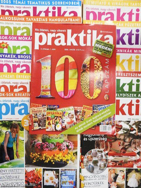 Praktika 2006. január-december