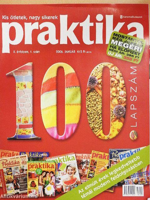 Praktika 2006. január-december