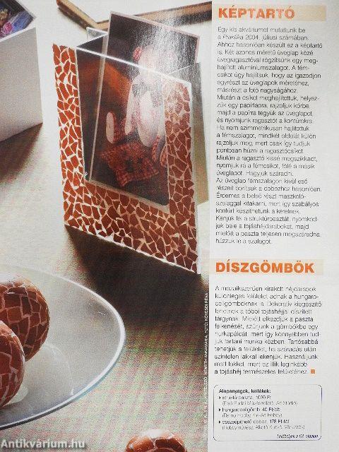 Praktika 2006. január-december