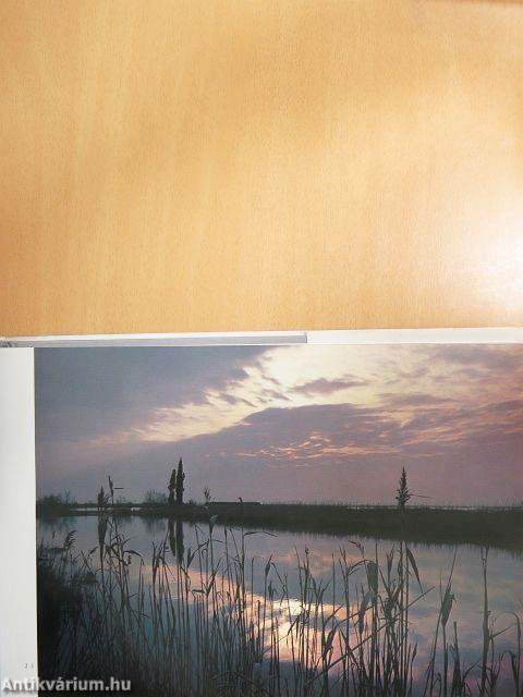 Die Lagune von Venedig