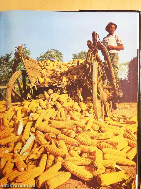 Fotojahrbuch international 1973