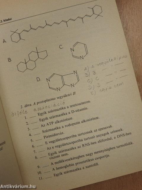 Biológiai fejtörő