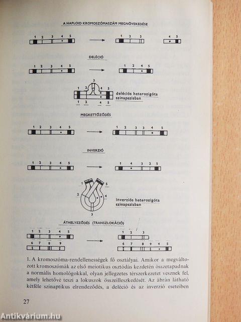 Bevezetés a populációbiológiába