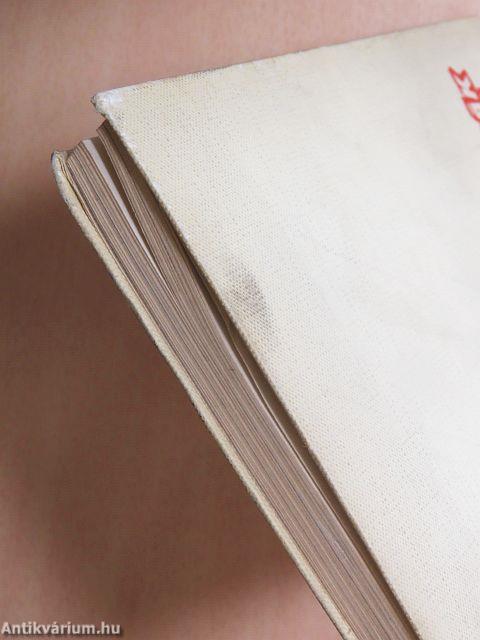 Élet a bombák tüzében