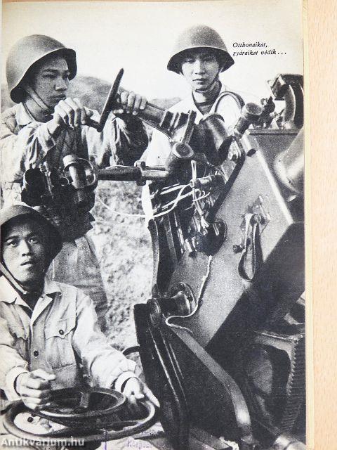 Élet a bombák tüzében