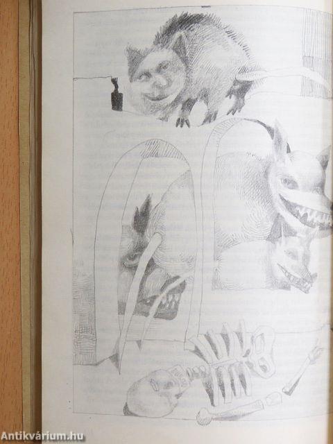 Angolszász rémtörténetek