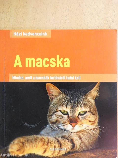 A macska