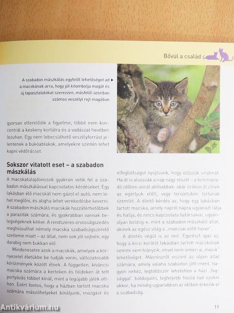 A macska