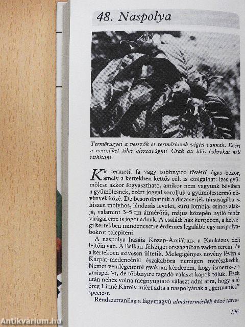 Minden héten szüret
