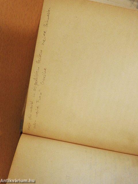 Thomas és Heinrich Mann