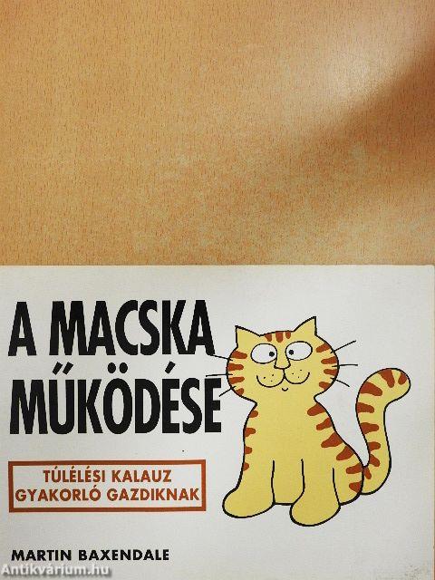 A macska működése