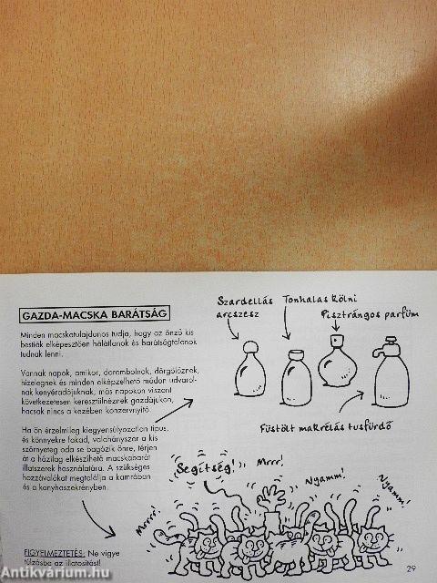 A macska működése