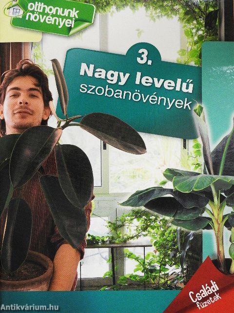 Nagy levelű szobanövények