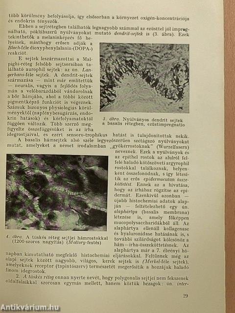 Bőr- és nemibetegségek