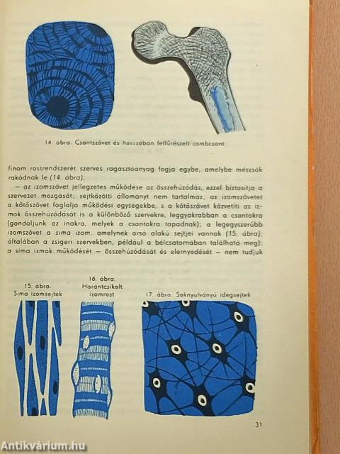 Mindenki iskolája 7.