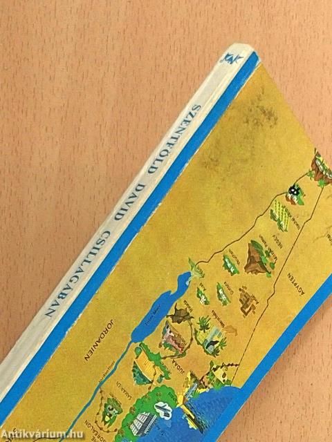 Szentföld Dávid csillagában