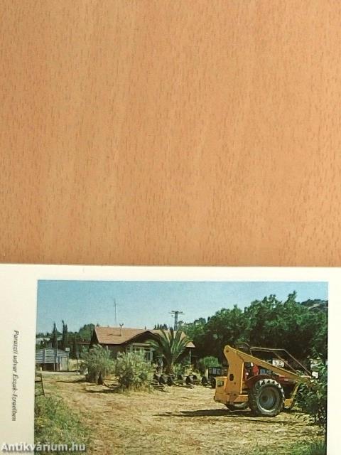 Szentföld Dávid csillagában