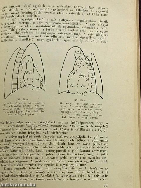 Röntgenológia I-II.