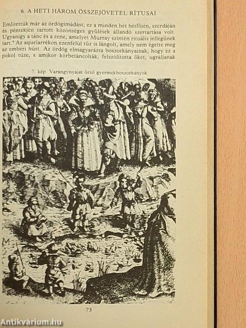 A boszorkányok ügyvédje