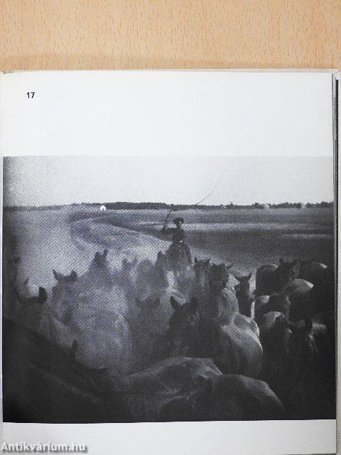 Langer Klára munkássága