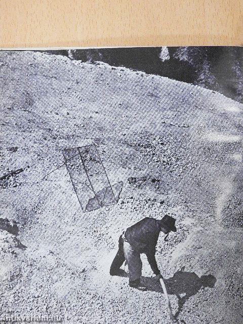 Sugár Kata munkássága