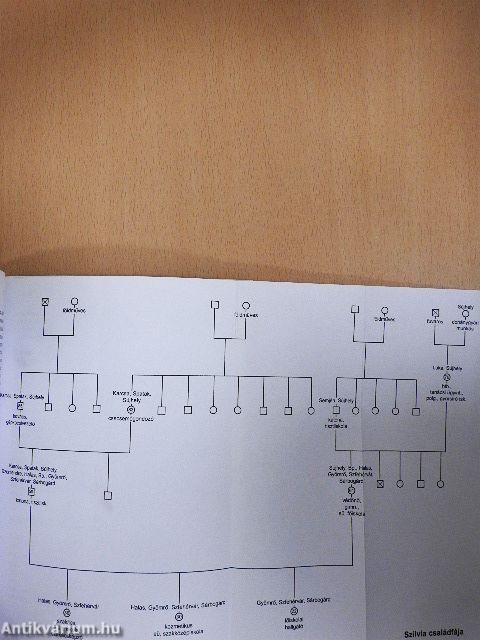 A szimbolikus család