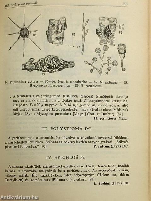 Növényhatározó I-II.