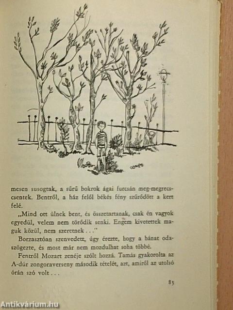 Hétköznapi varázslat