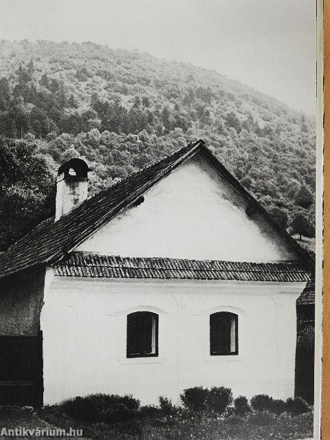 Magos a rutafa