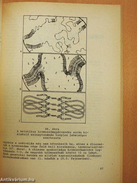 Általános genetika