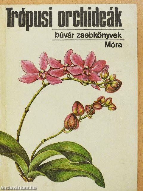 Trópusi orchideák