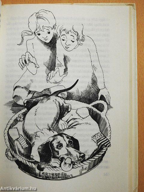 Csöngetésre vakkants!