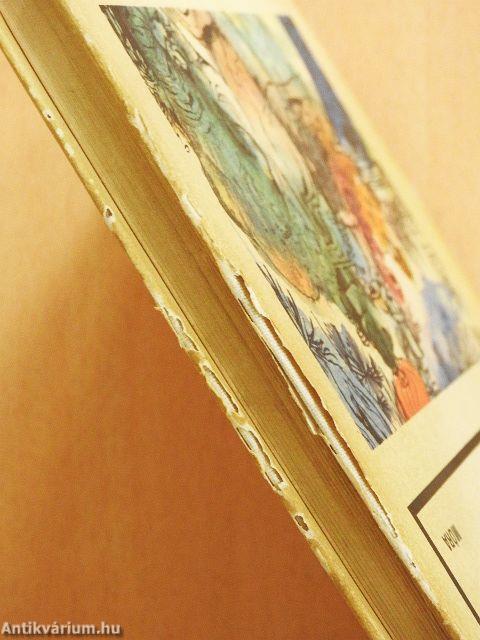 Nyolcvan nap alatt a föld körül