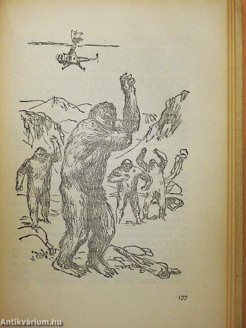 Titok a világ tetején