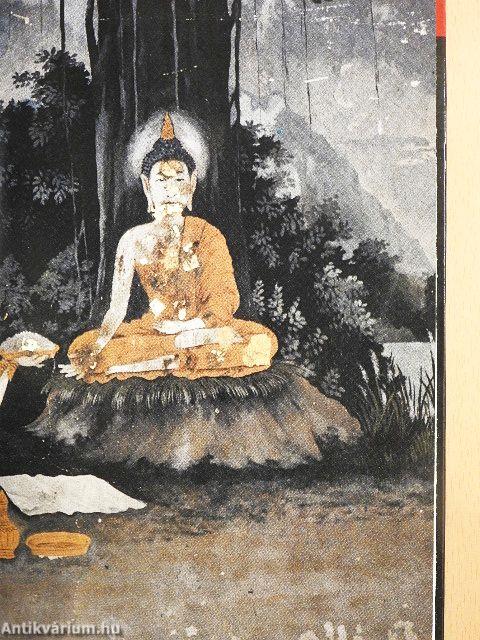 Buddha látomása