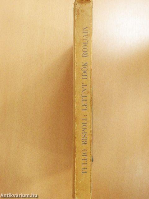 Letünt idők romjain