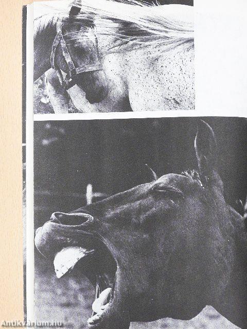 Új Írás 1976. augusztus