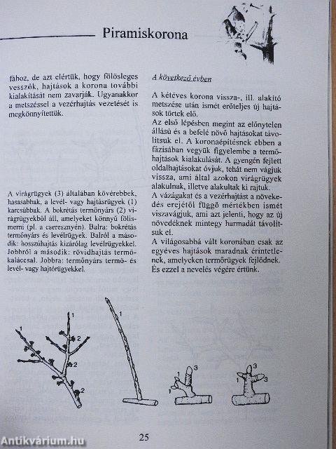 Gyümölcsfák metszése