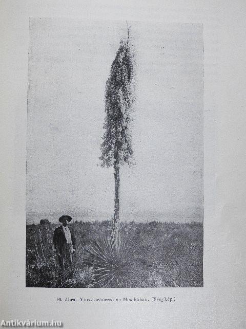 A Föld és élete IV.