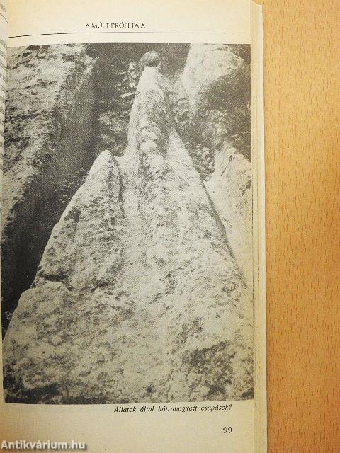 A múlt prófétája