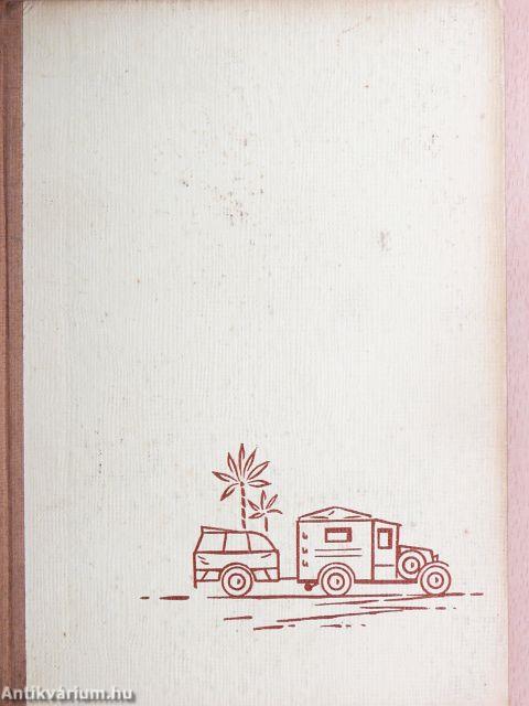 Háromezer kilométer Afrikában