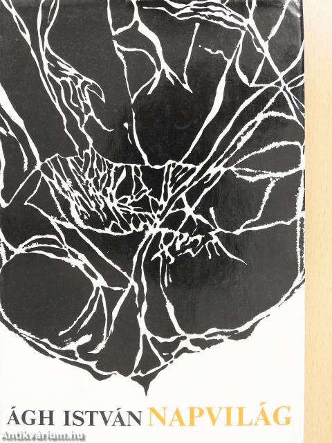 Napvilág (dedikált példány)