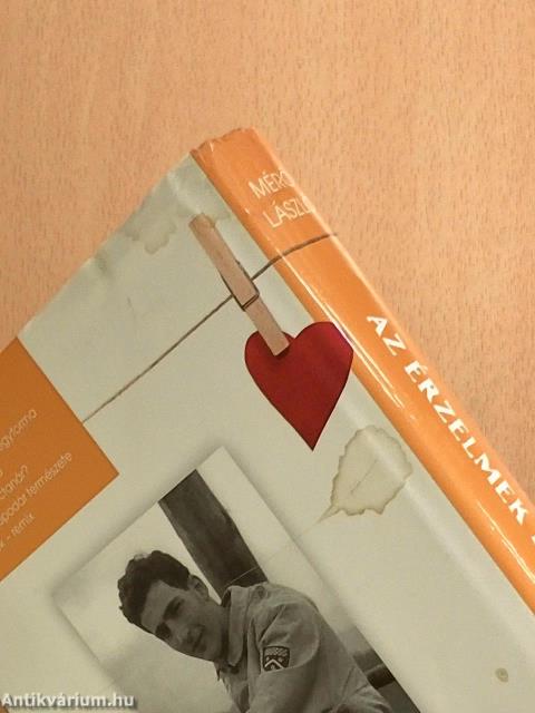 Az érzelmek logikája