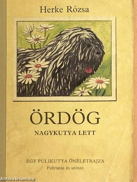 Ördög nagykutya lett
