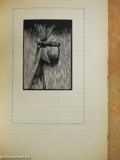 Aus der Mitte entspringt ein Fluß