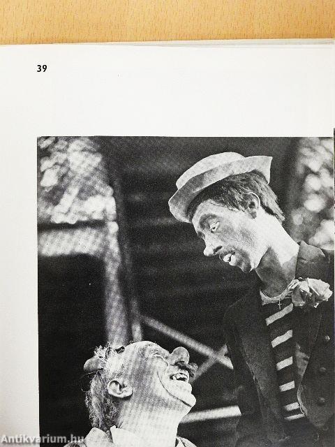 Pécsi József munkássága